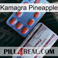 Kamagra Pineapple 36